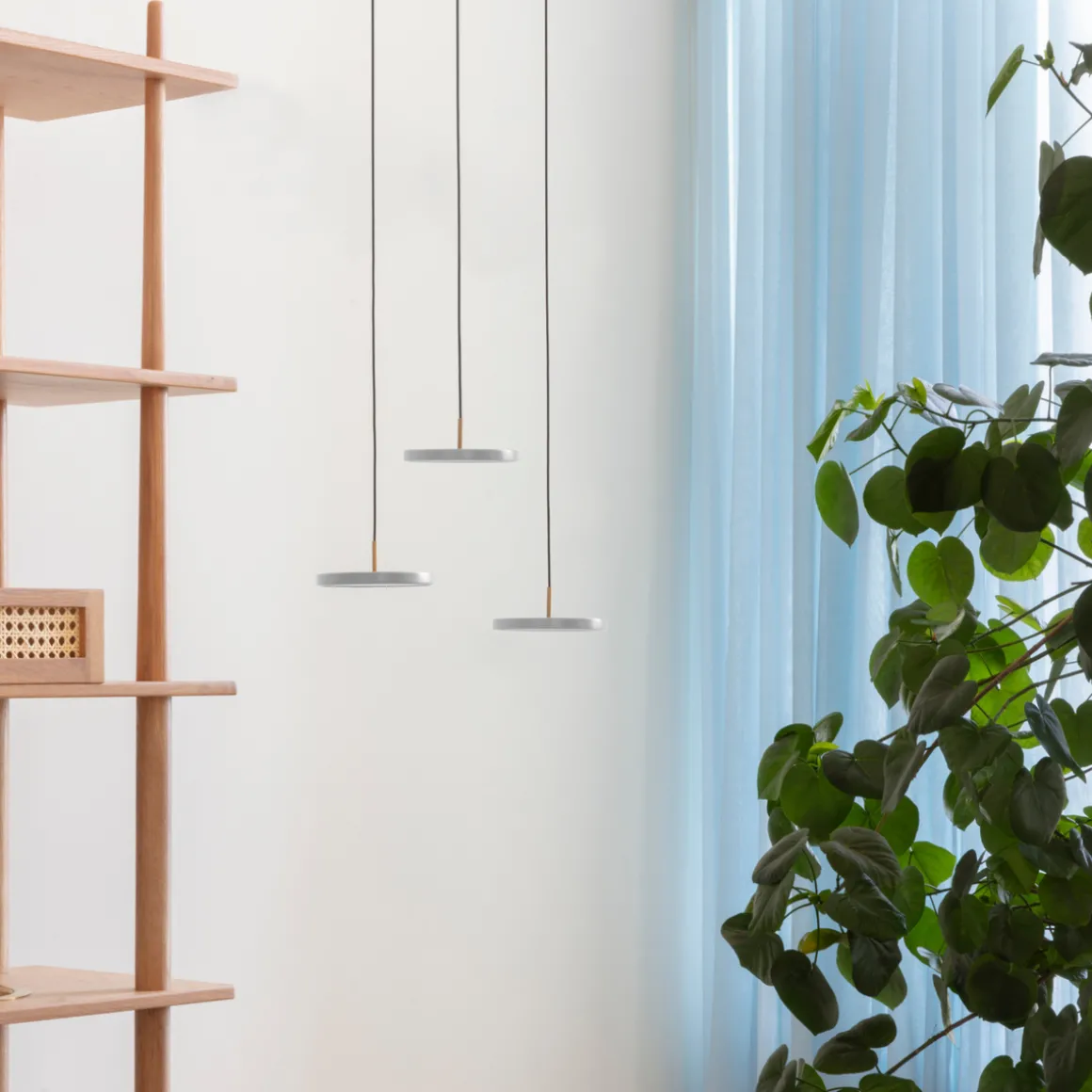 Asteria micro pendel