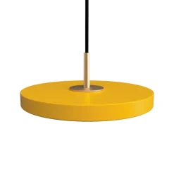 Asteria micro pendel