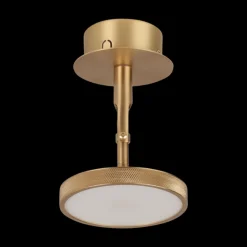 Asteria Spot for vegg og tak