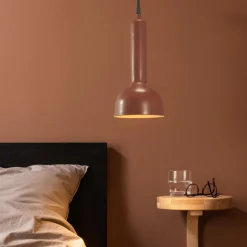 Bainbridge takpendel - Rust