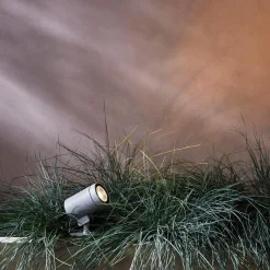 Bayville Spike Spot - Svart