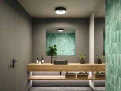 Casca taklampe 30 cm 16W IP44 3000-6500 Kelvin 1500 lumen- 3-step moodmaker