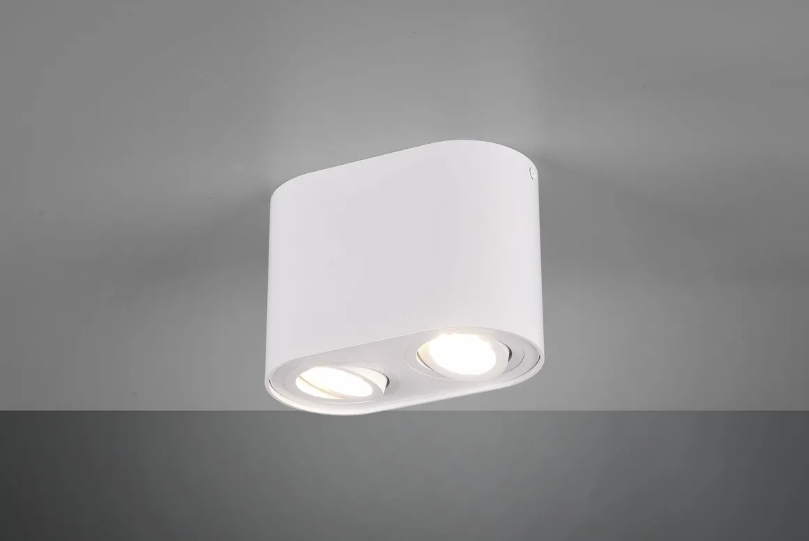 Cookie takspott 2 - Hvit