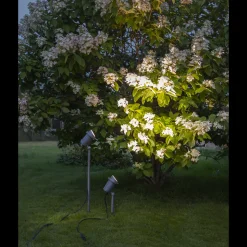 Focus uplight på spyd 67 cm utendørs GU10 IP44 - Svart
