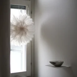 Lotus 44 julestjerne Hvit