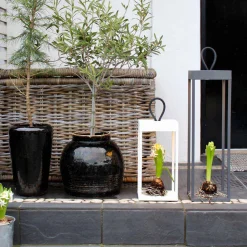 Lucerna lanterne/lykt 30 cm IP65 - Hvit