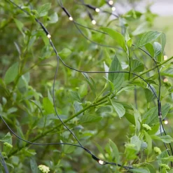 Lysnett 2x2m - Garden 24 - Svart