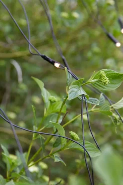 Lysnett 2x2m - Garden 24 - Svart