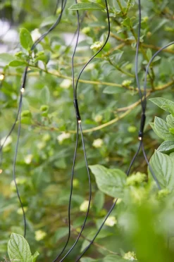 Lysnett 2x2m - Garden 24 - Svart