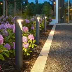 Oppland pullert 1321