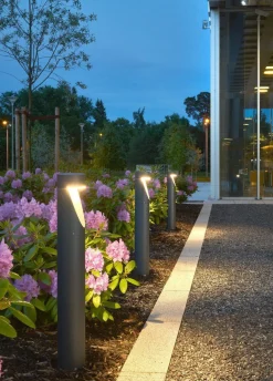 Oppland pullert 1321