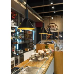 Phelia 275 takpendel