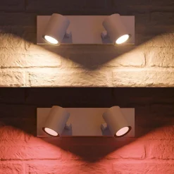 Philips Hue Argenta dobbel spotlight white and colore ambiance