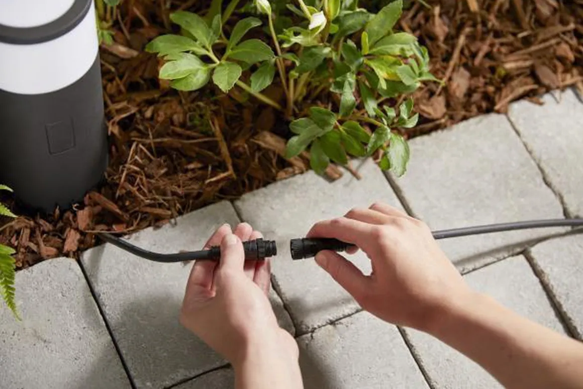 Philips Hue Calla pullert white ambiance & color luminairs 25 cm - Forlenger