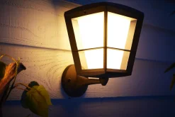 Philips Hue Econic utendørs vegg 2 white ambiance & color luminairs