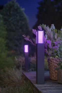 Philips Hue Post pullert white ambiance & color luminaires