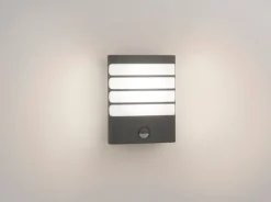 Philips myGarden Raccoon vegglampe utendørs 3W IP44 m/bevegelses sensor IR