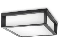 Philips Skies vegg/taklampe utendørs IP44 E27