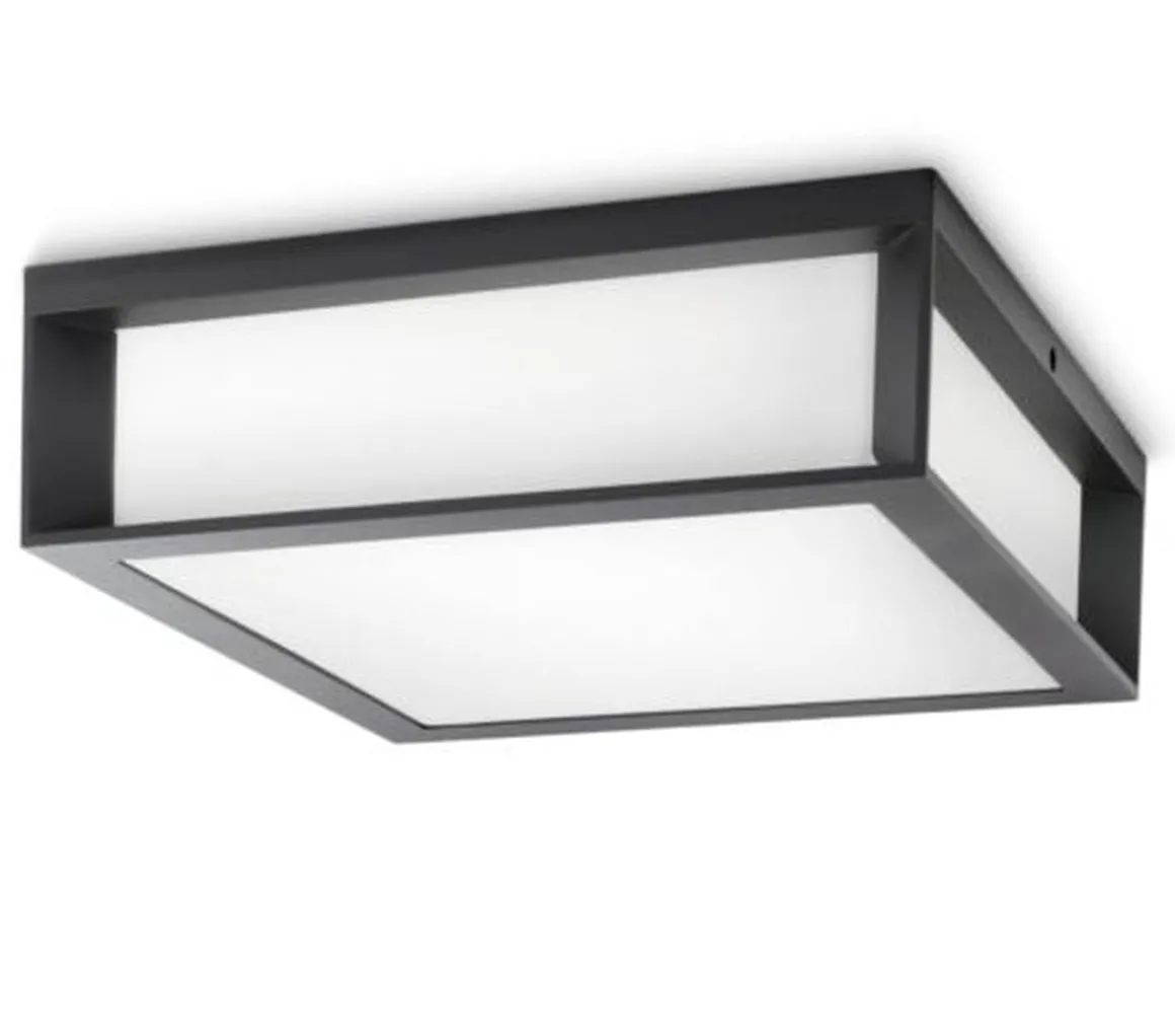 Philips Skies vegg/taklampe utendørs IP44 E27