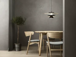 Picasso takpendel D500 G9