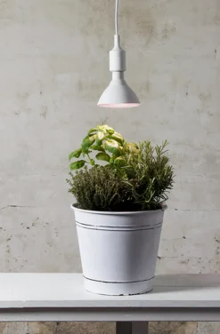 Plantelys rød 16W, LED