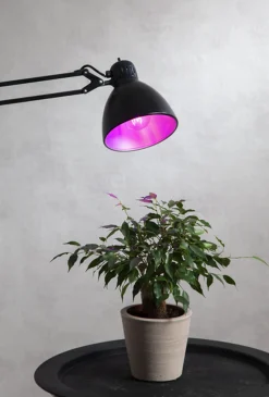 Plantelys rød 6,5W, LED