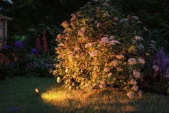 Plug & Shine Sting spot med spyd 6,4W 3000 Kelvin IP67 - 3 pakning startsett