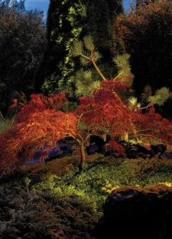 Rena 1555 uplight firkantet IP68 5,5W