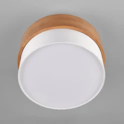 Seasons taklampe Ø30