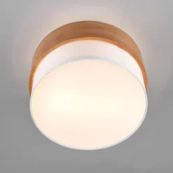 Seasons taklampe Ø30