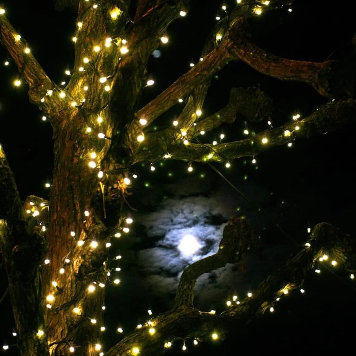 Utbygging Led slynge 50 lys 5,2 meter